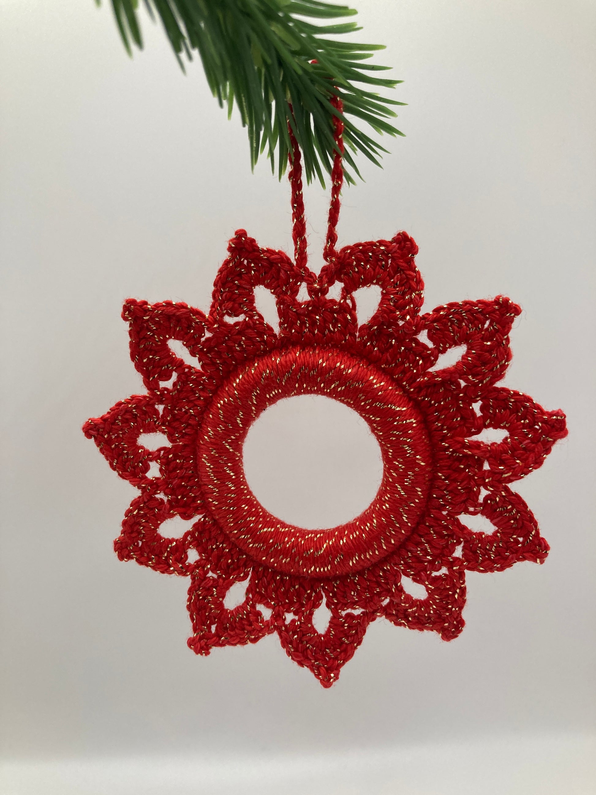 Roter Weihnachtsstern an grünem Zweit hängend